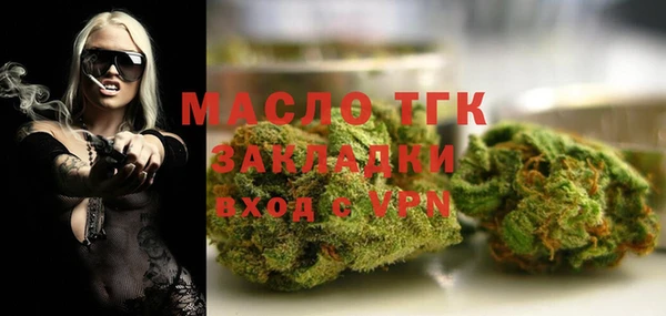 шишки Беломорск