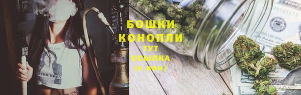 apvp Лагань