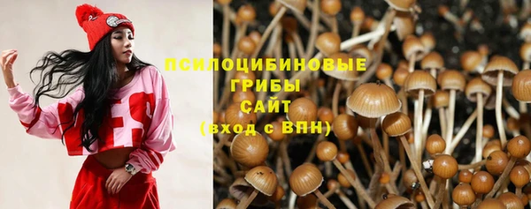 шишки Беломорск