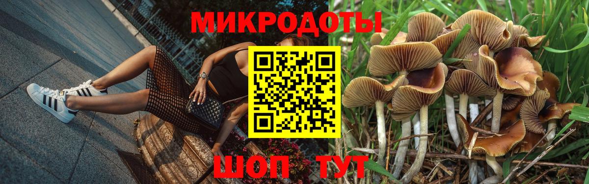 Псилоцибиновые грибы Psilocybine cubensis Беслан