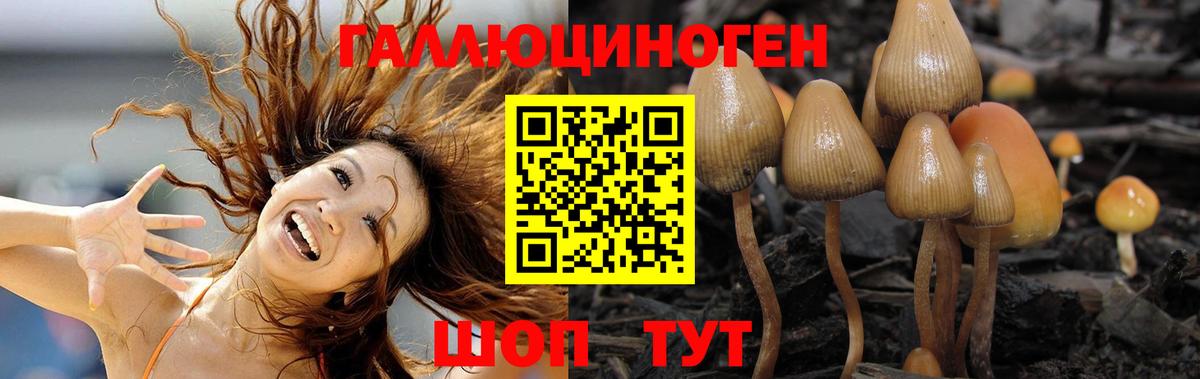 Псилоцибиновые грибы мухоморы  Вход с VPN  Псилоцибиновые грибы Psilocybine cubensis  Беслан 